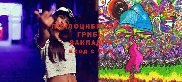 ГАЛЛЮЦИНОГЕННЫЕ ГРИБЫ Абдулино