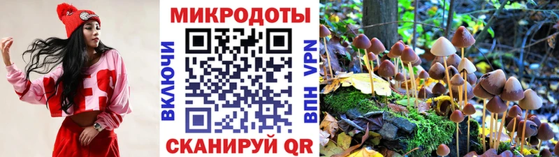 даркнет какой сайт Владимир Псилоцибиновые грибы прущие грибы